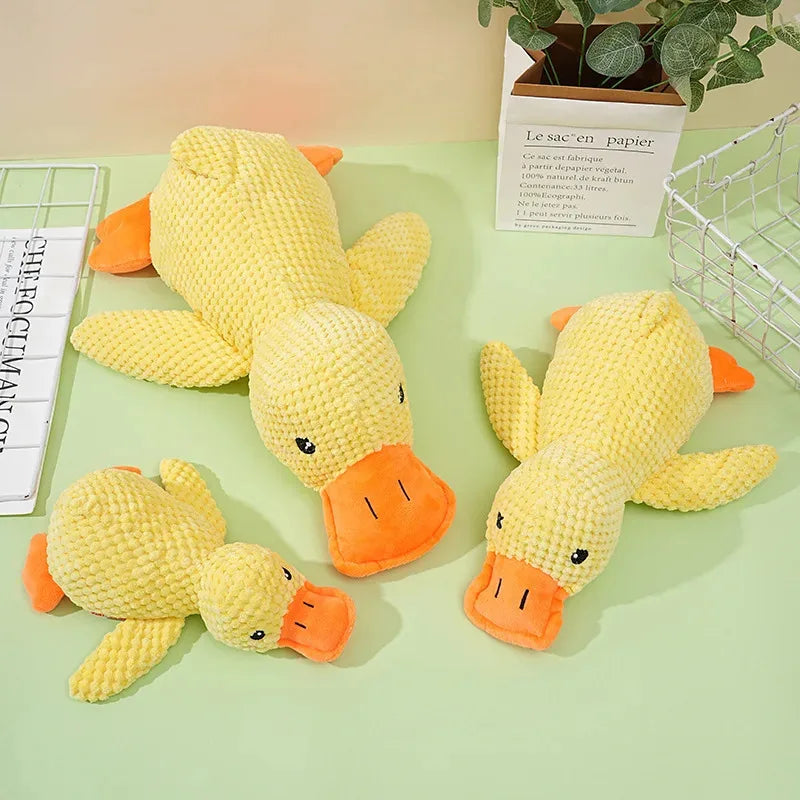Dog Calming Duck