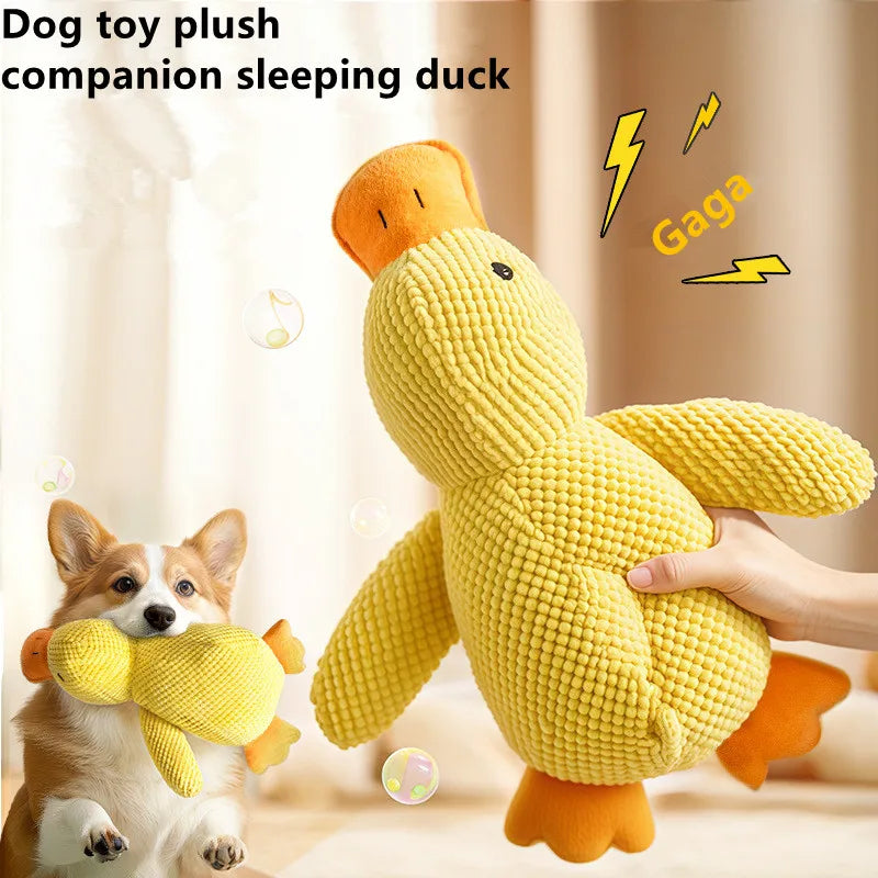 Dog Calming Duck