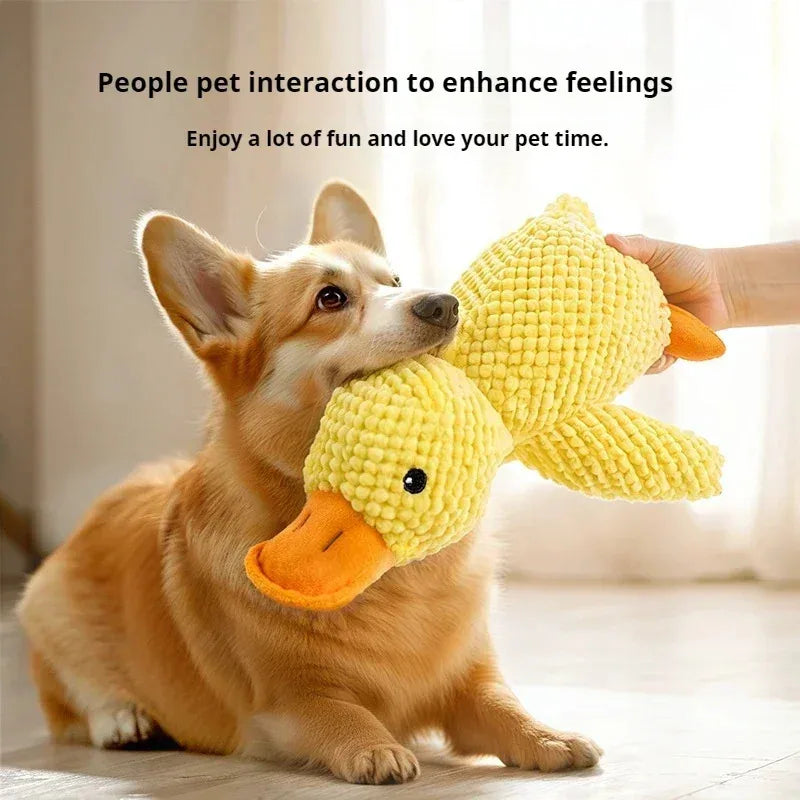 Dog Calming Duck